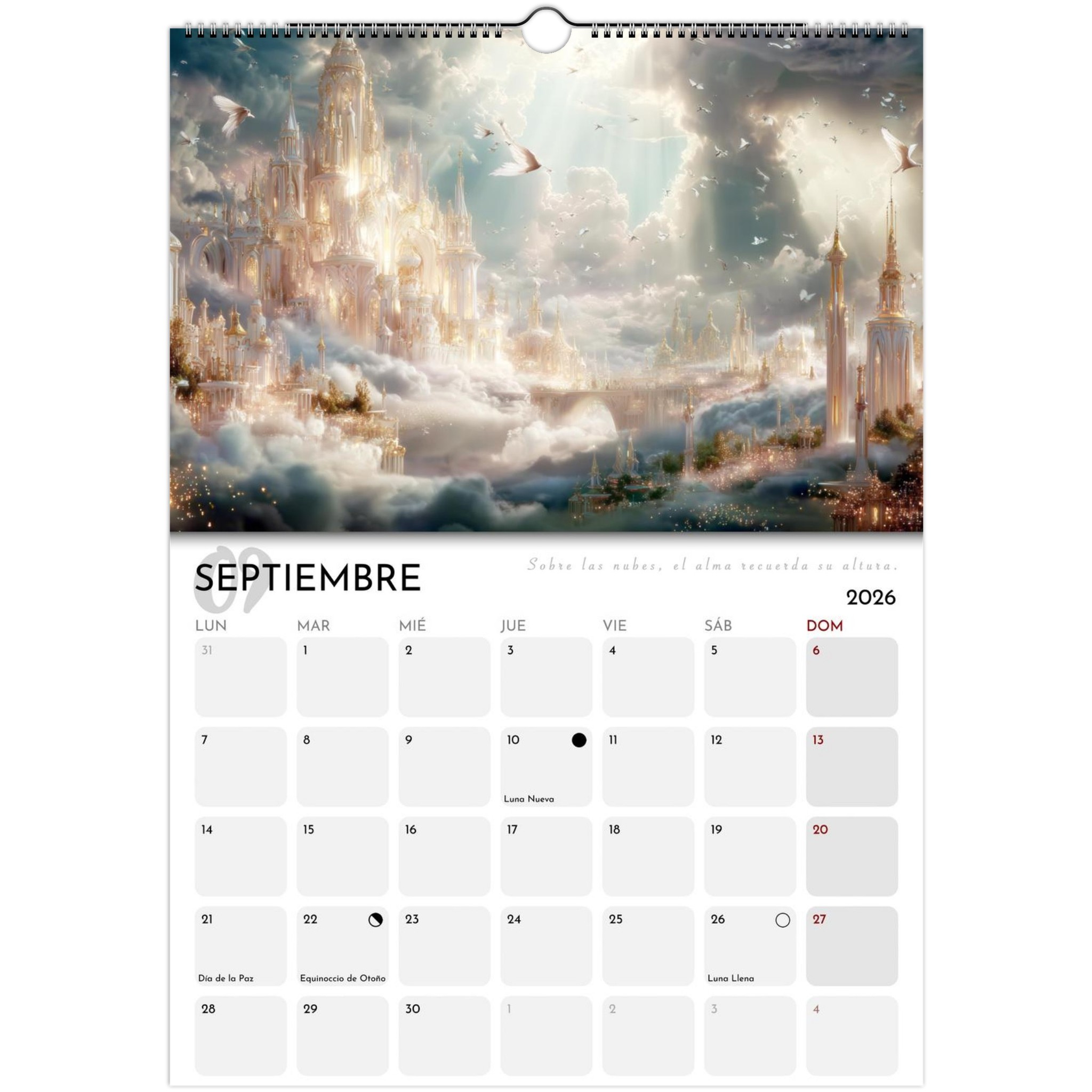 504d791d-caad-488a-9fe2-90916434d062